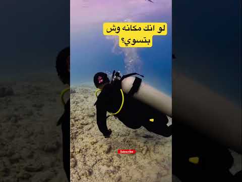بتستسلم بسرعة الغوص حيوانات  غوص اكسبلور ترند مواقف