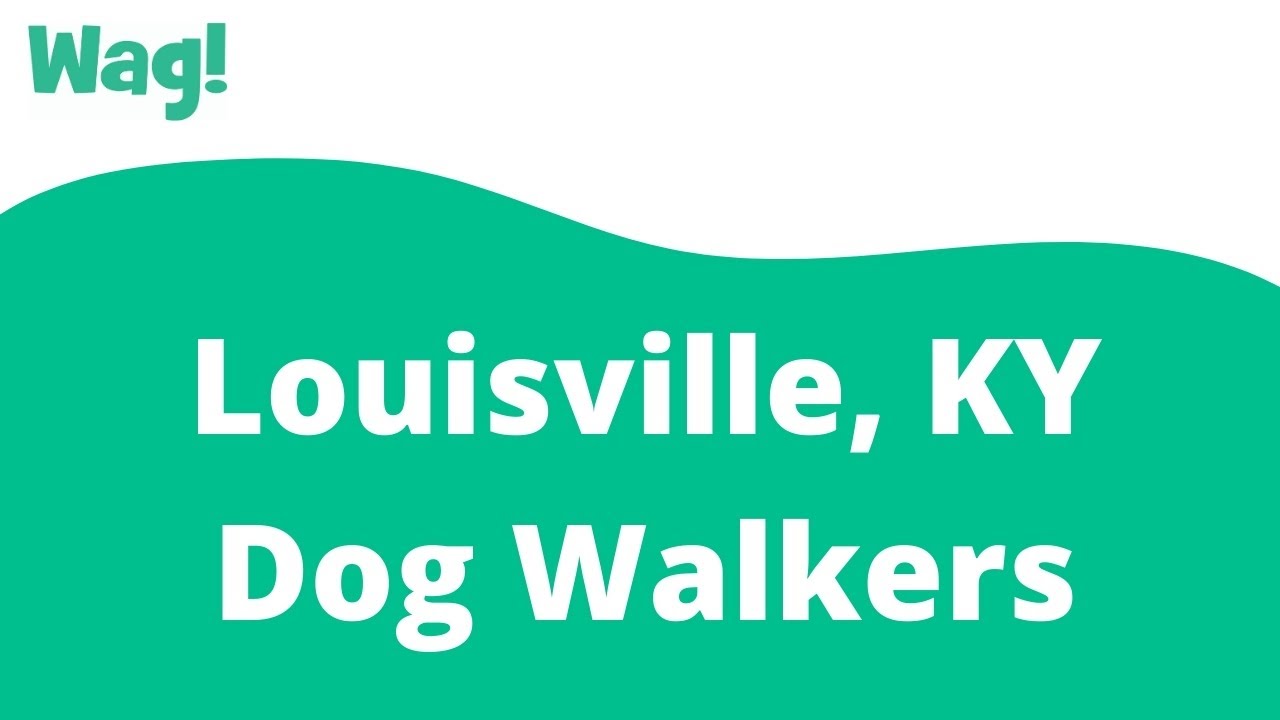 Louisville, KY Dog Walkers Wag! YouTube