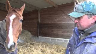 Des Nouvelles De Roxane Griff Avec Sébastien Guarato - A2Turf.com Video