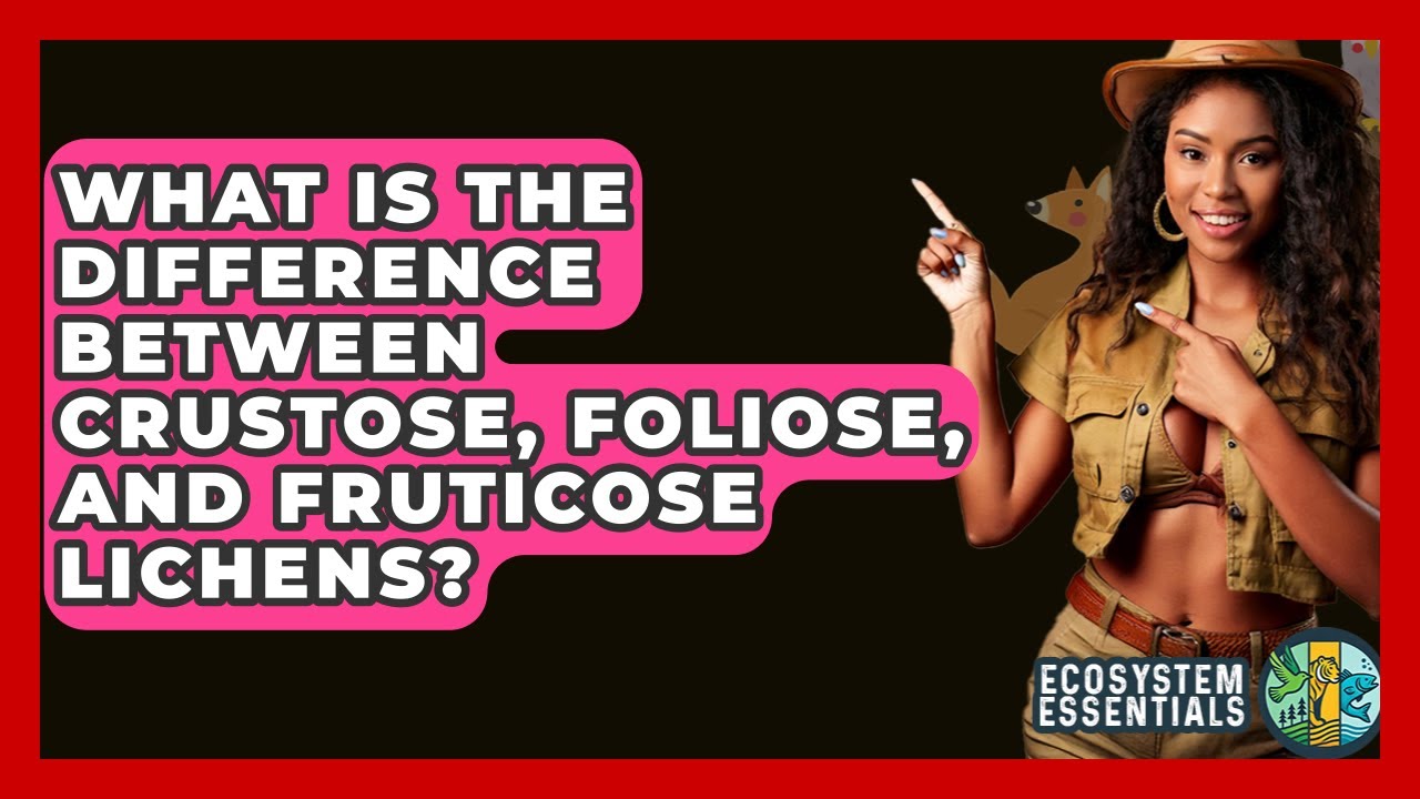 What Is The Difference Between Crustose, Foliose, And Fruticose Lichens? - Ecosystem Essentials