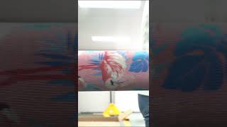 Information How to use a sock printer to make personalized digital printed socks#shorts News