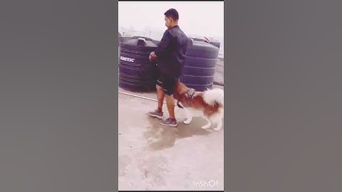 #walj#behaviour#modification