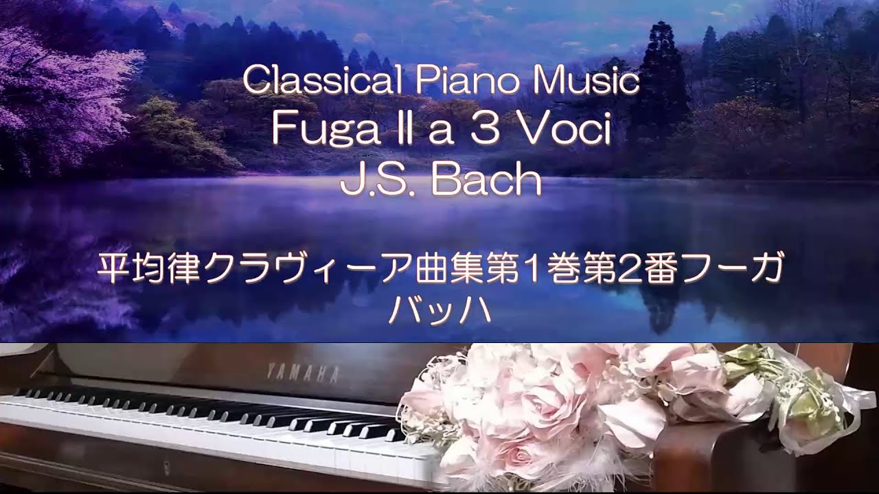 パッヘルベル　鍵盤作品全集第２巻：フーガ Piano : Fuga II a 3 Voci / J.S. Bach - YouTube