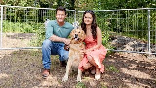 Lemonade Stand - Summer Favorites with Danica McKellar and Mark Deklin - Hallmark Channel