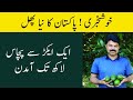 Avocado farming in pakistan l high value fruit farming ll how to earn 5 million from one acre