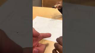 IMG 8578