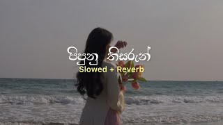 Latin Kankaariya (ලතින් කංකාරිය) - Vish & Chaamindu Cover (Slowed   Reverb) Mood Wave