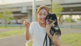 Top 10 Surprising Facts About Dogs You Didn't Know!