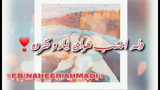 دلم امشب هوای یار و کرده