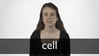 Cell Definition And Meaning Collins English Dictionary