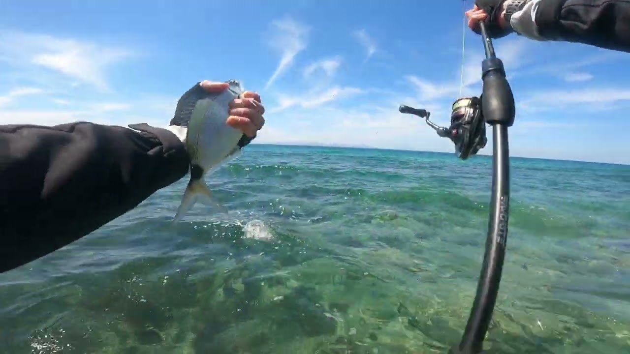 Melanur maket balıkla nasıl yakalanır? Her atışta bir balık... 