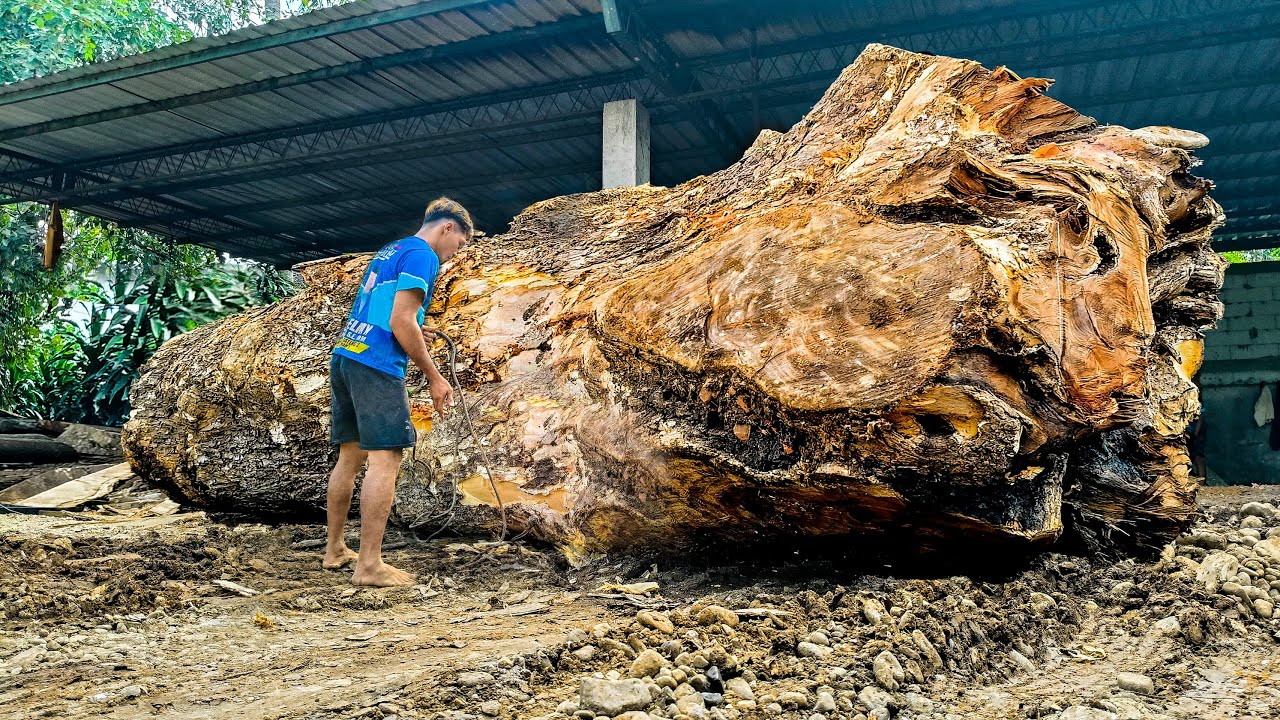 a horrific sight when sawing a log full of crust at a sawmill