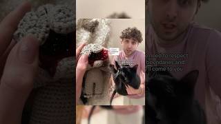 You NEED to Bond With Your Cat! #funny #cats