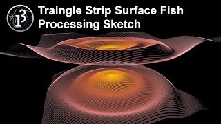 Triangle Strip Surface Fish - Processing
