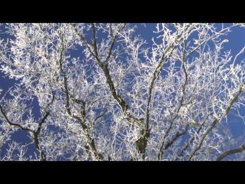 Heiko Temp - Der erste Schnee
