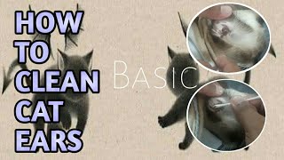 How to Clean Cat Ears / Pano  nga ba linisan ang tenga ng pusa by CL CAT LOVER 1,537 views 1 year ago 5 minutes, 29 seconds