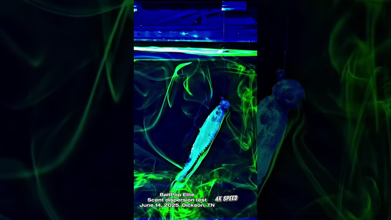 Bait Pop Elite GHOST - Hitting Southern African shores soon at Blue Water Gear