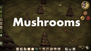 Don't Starve: Mushrooms