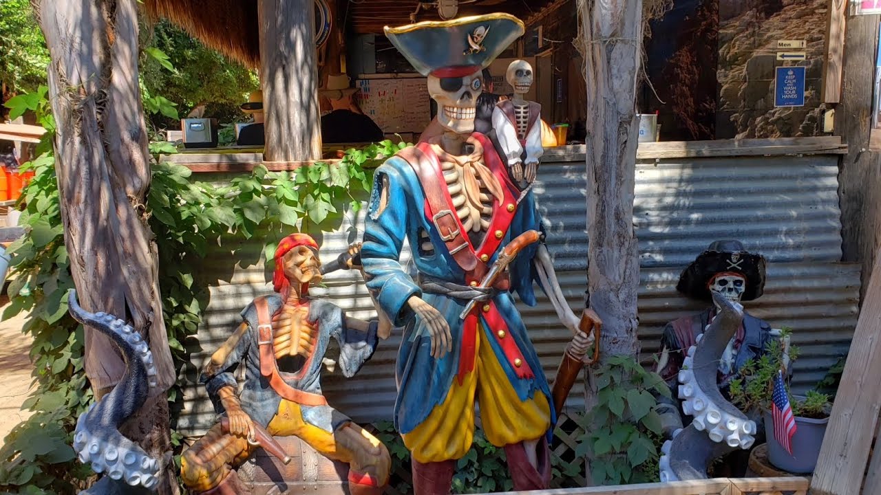 10.5 mile paddleboard adventure on Sacramento river beware of Pirates 🏴‍☠️