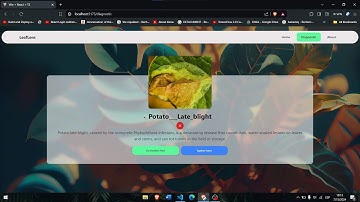 Plant Disease Detection Wep App | [REACT/DJANGO/TENSORFLOW]