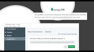 MongoDB and C# Journey || Beginner to Professional || MongoDB for Beginner || MongoDB GUI Compass