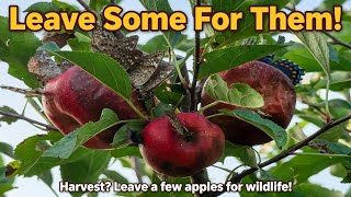 Why You Should Leave Fruit Behind When Harvesting