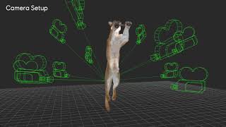 Ubisoft China AI & Data Lab | ZooBuilder: 2D and 3D Pose Estimation for Quadrupeds