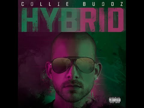 Collie Buddz Love Is Life 