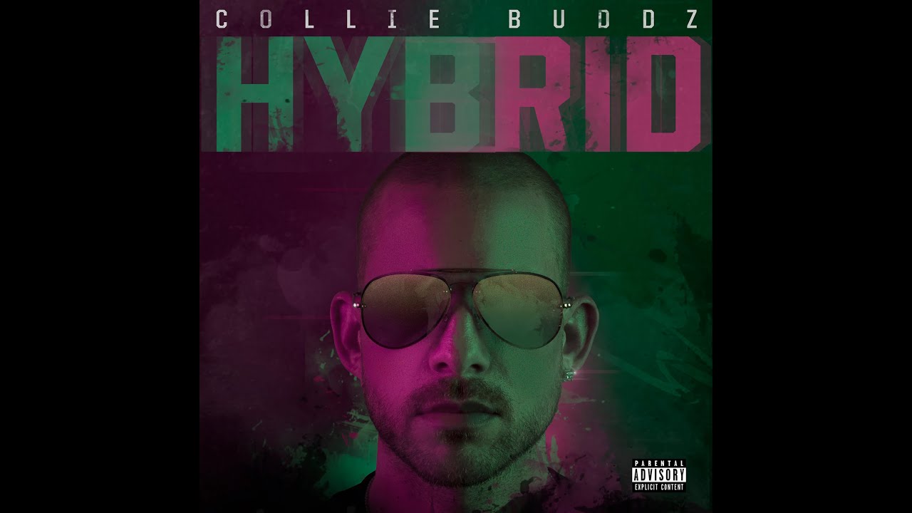 Collie Buddz - Love Is Life