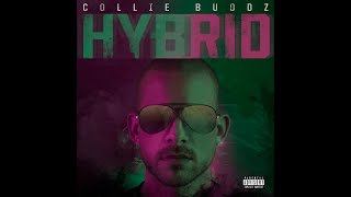 Collie Buddz - Love Is Life chords