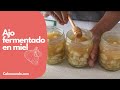 Cómo hacer ajo fermentado en miel