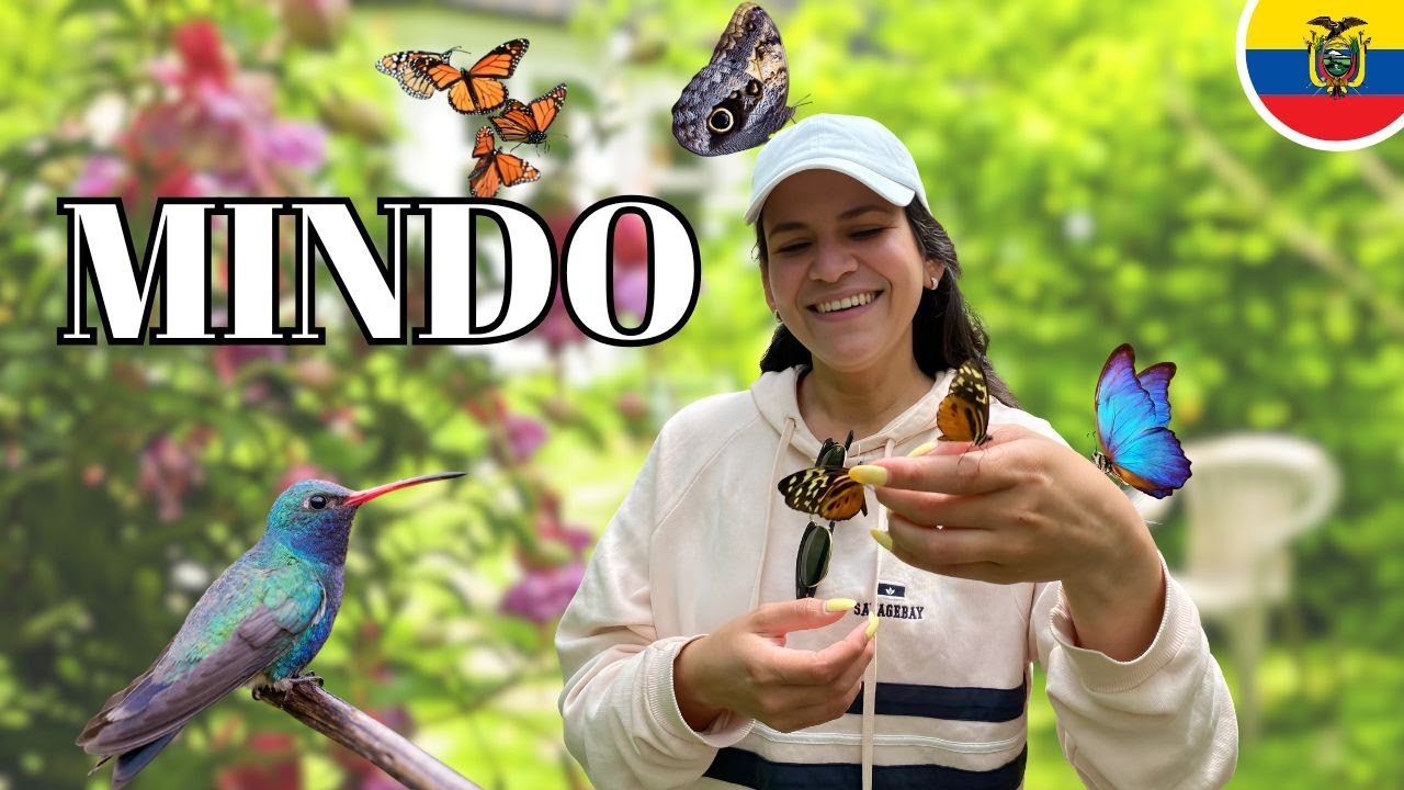 Así es el INCREÍBLE MARIPOSARIO en MINDO Ecuador 🇪🇨 Naturaleza 🍂 Ríos y hospedaje 🏨