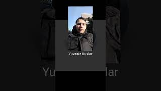 Emrah Gezer yuvasız kuşlar