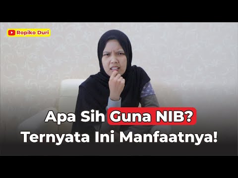 Apa Guna NIB ? Ternyata Ini Manfaatnya !