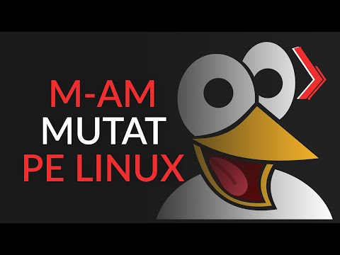 Video: Umor sub „Linux”: glume despre programatori și despre programatori