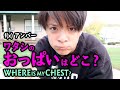 元f(x) アンバー「ワタシのオッパイはどこ？」 [日本語字幕]