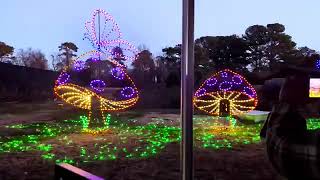 Norfolk Botanical Gardens Holiday Lights 2023/24 Leona Katie Barbara Ben & Hugh Patterson