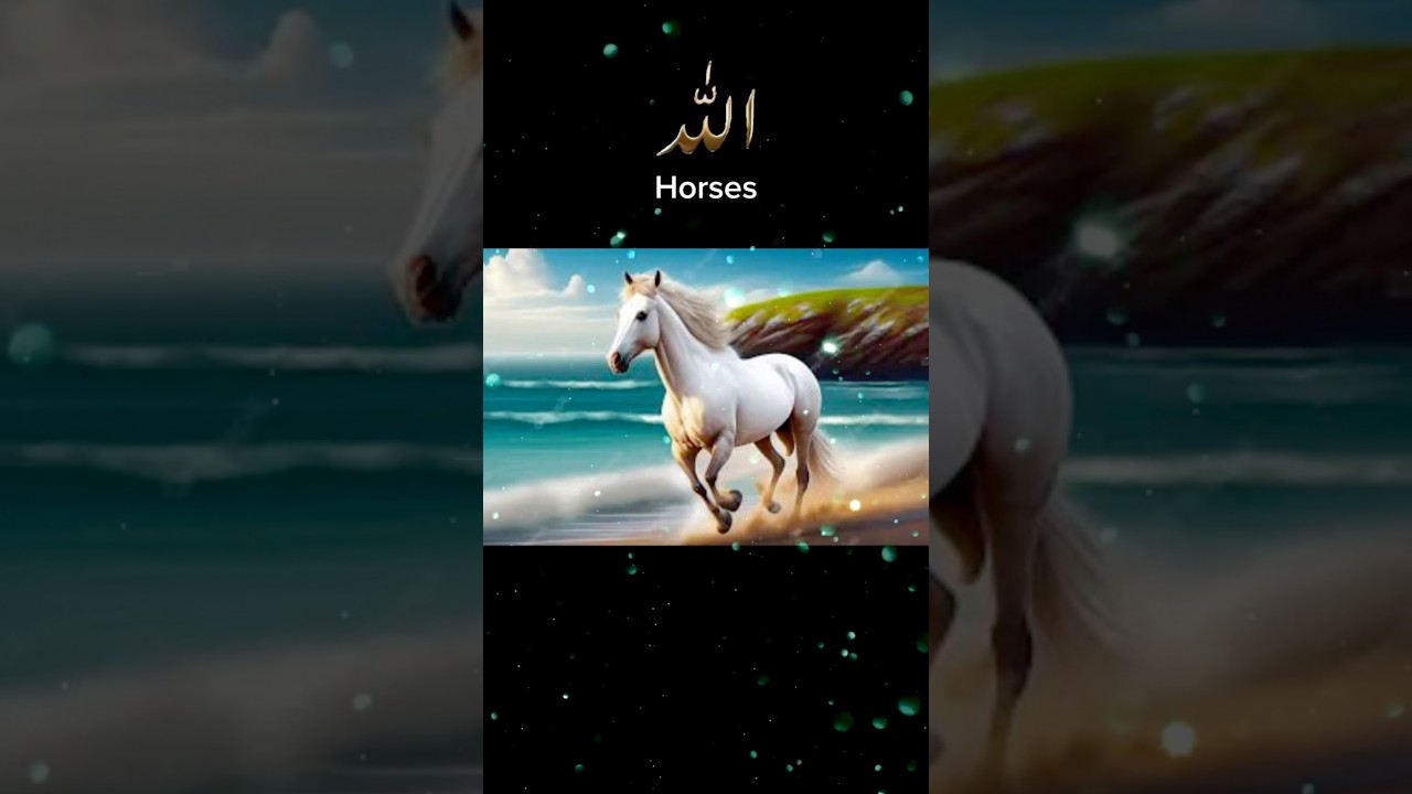 Prophet Mohammad Loved These Animals! 