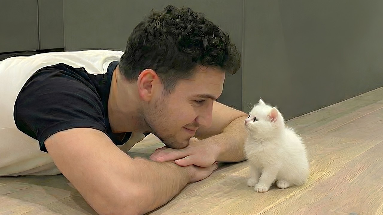 Когда твоя кошка крадет твоего мужа 😂