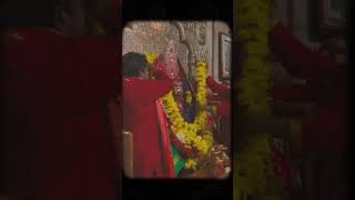 Joy Maa Tara 🌸🙏 #maa #kali #tara #tarapith #kolkata #maakali #goodshorts #shorts #video #shortvideo