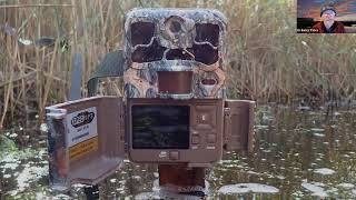 Adventures with a Trail Camera at Rye Harbour Nature Reserve