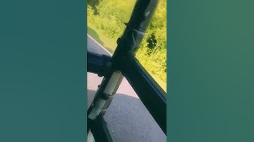 Tuk-tuk attack by Elephant