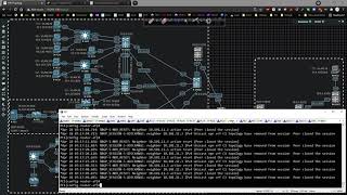 Cisco Data Center Nexus 9000v VXLAN 017 - External Connectivity to Private WAN via eBGP Peerings