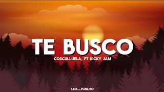 Cosculluela ft Nicky Jam - Te Busco (letra)