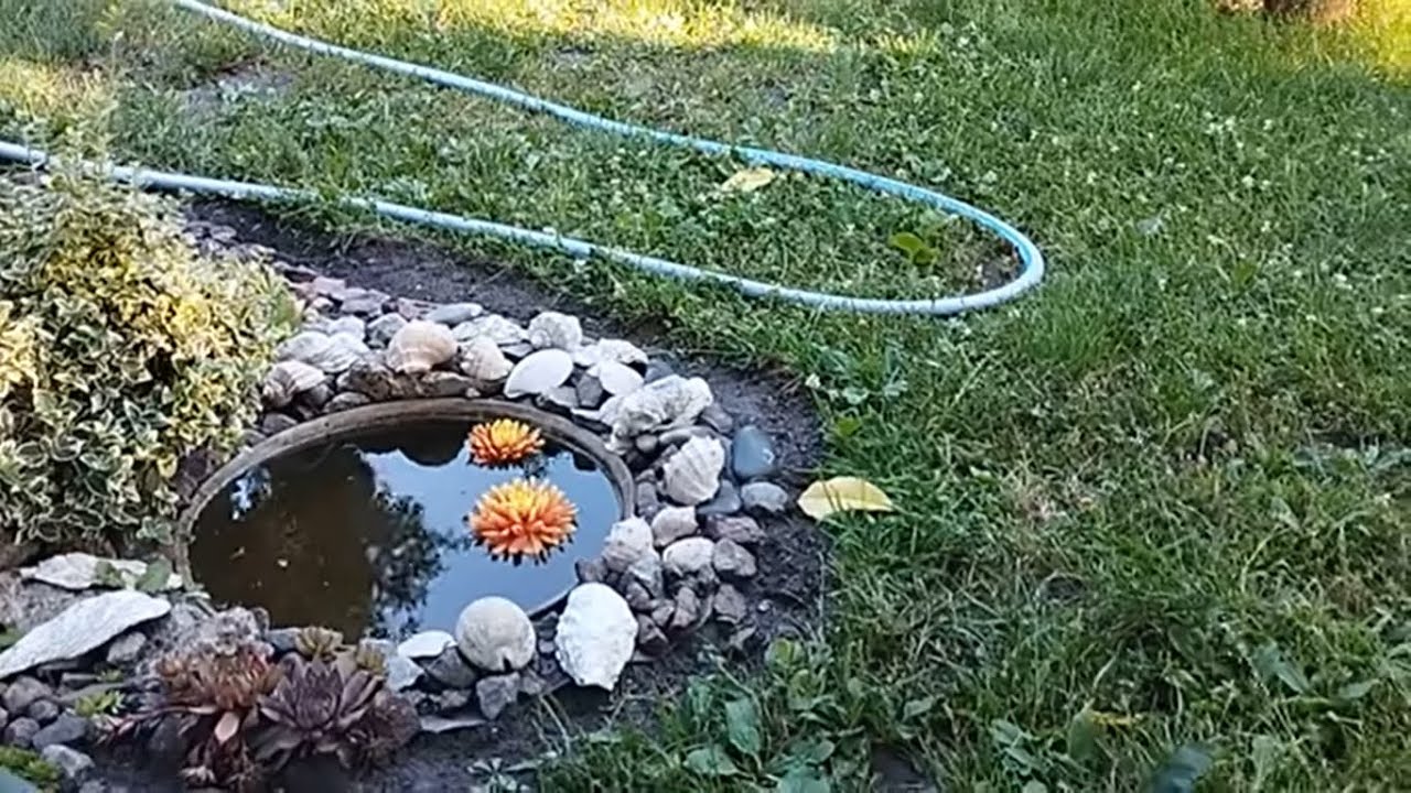 Мой любимый сад в начале августа. И жара и град. Томат Апельсин. Персик Памяти Гришко.