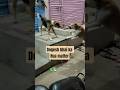 Dogesh bhai ka hua matter#viral #shorts