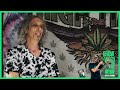 Living Soil Made EASY! – Bio 365 Secrets for Indoor Grow Success 🌱