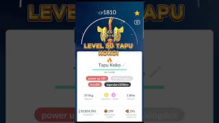 Maxing a 100% IV Tapu Koko to Level 50! 💯⚡ (50M Stardust Flex) #pogoneutralground