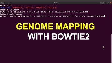 bowtie2 tutorial | map paired end reads to a  reference sequence