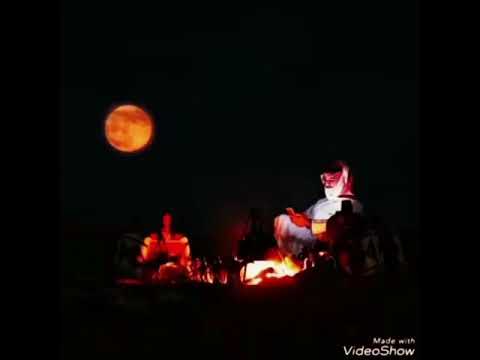 يالله ليا ضاقت صدور المناعير شعر